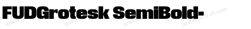 FUDGrotesk SemiBold字体转换